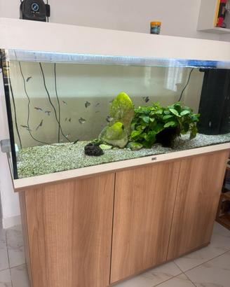 Acquario juwel 240 litri