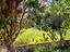 Immagine 25