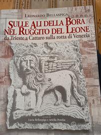 SULLE ALI DELLA BORA NEL RUGGITO DEL LEONE