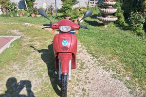 scarabeo 50
