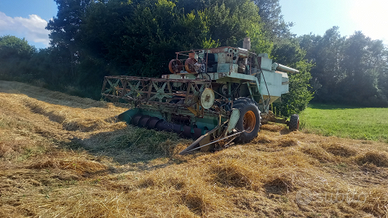 Mietitrebbia arbos 565