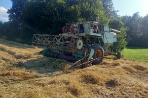 Mietitrebbia arbos 565