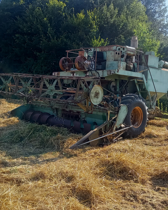 Mietitrebbia arbos 565