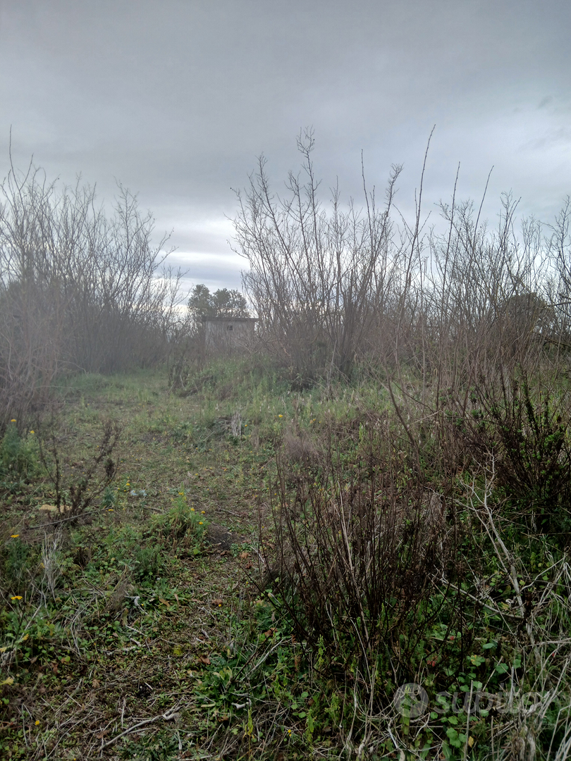 Terreno agricolo seminativo - Vista 6
