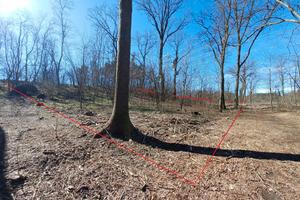 Vendita terreno agricolo