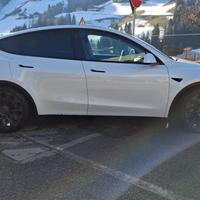Tesla Modell Y Performance