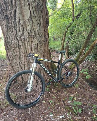 bicicletta mtb