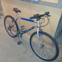 Bicicletta 26 pollici