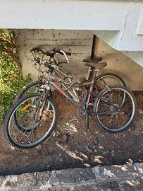 2 Mountain Bike