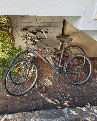  2 Mountain Bike