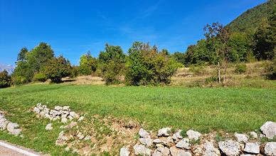 Splendido prato immerso nel verde e soleggiato