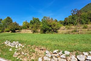 Splendido prato immerso nel verde e soleggiato