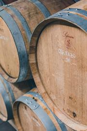 Barrique (botti di legno da 225l)