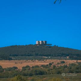 Terreno castel del monte