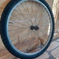 Ruota di Bicicletta 