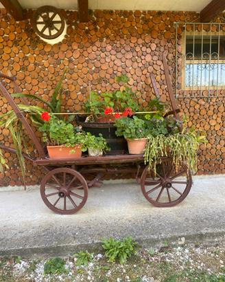 Carro in legno