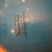 Palla physio roll