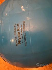 Palla physio roll