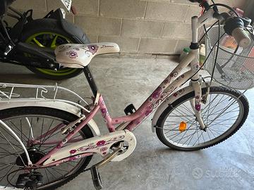 bicicletta 