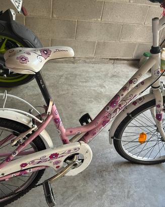 bicicletta 