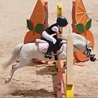 Pony da salto ostacoli
