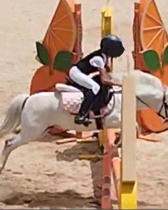 Pony da salto ostacoli
