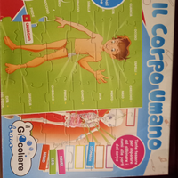 Puzzle corpo umano
