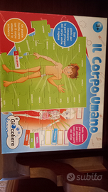 Puzzle corpo umano