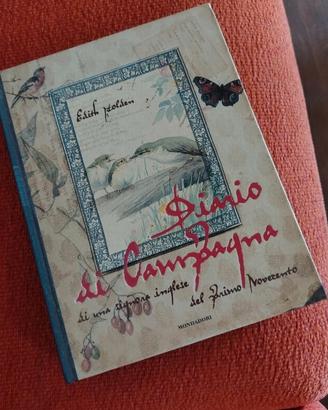 DIARIO DI CAMPAGNA LIBRO