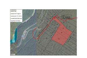 Terreno boschivo 30000 mq