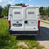 Vendita furgone fiat ducato