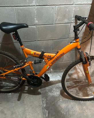 BICICLETTA MOUNTAIN BIKE MTB DA 26”