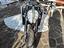 Immagine 5
