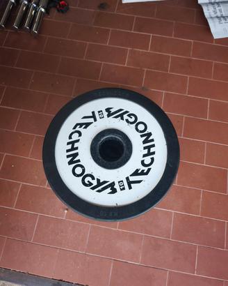 coppia dischi technogym 10kg (foro 50mm)