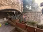 Immagine 6