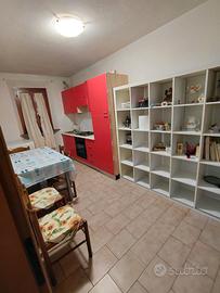 Monolocale in condivisione vinci empoli