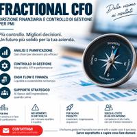 FRACTIONAL CFO/TEMPORARY MANAGER
