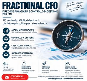 FRACTIONAL CFO/TEMPORARY MANAGER