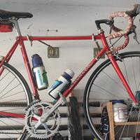Bici per amatori Colnago