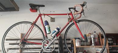Bici per amatori Colnago