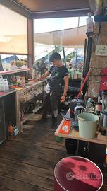 Bartender