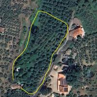 Terreno agricolo adibito a uliveto a Montemagno