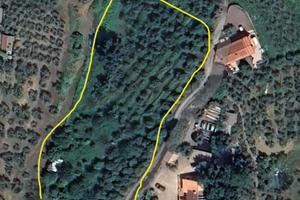 Terreno agricolo adibito a uliveto a Montemagno