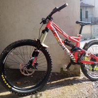 Bici da enduro/dh specialized status
