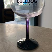 calici Bulldog