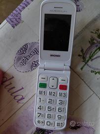 Brondi Amico Flip