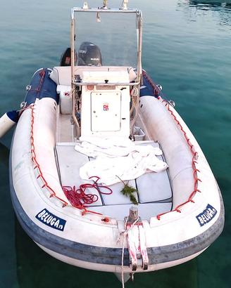 Perondi Beluga 19 con Suzuky DF140