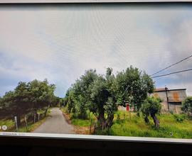 Appartamento a piano terra