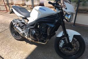 Triumph Speedtriple 1050 2008