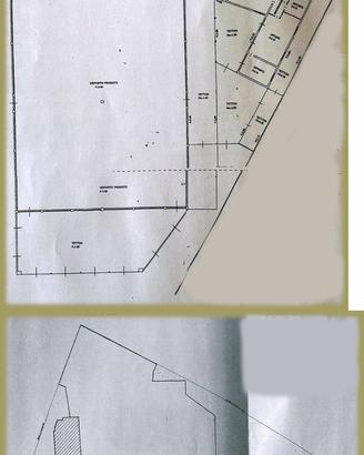 Capannone di 1500mq vicinanze spinea